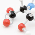 Exploring Main Group Elements and Compounds in Inorganic Chemistry